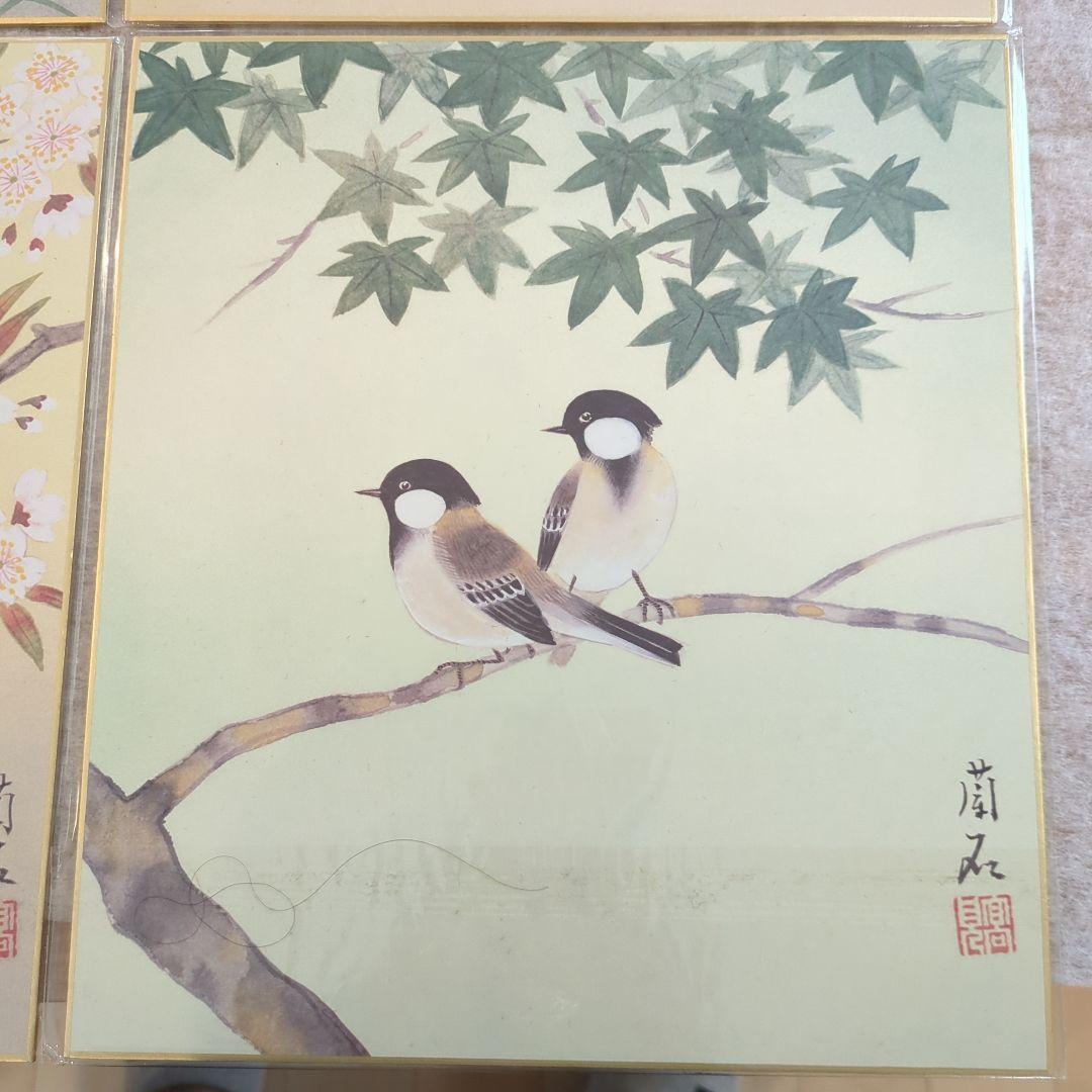 鳥と葉の水彩画 掛軸