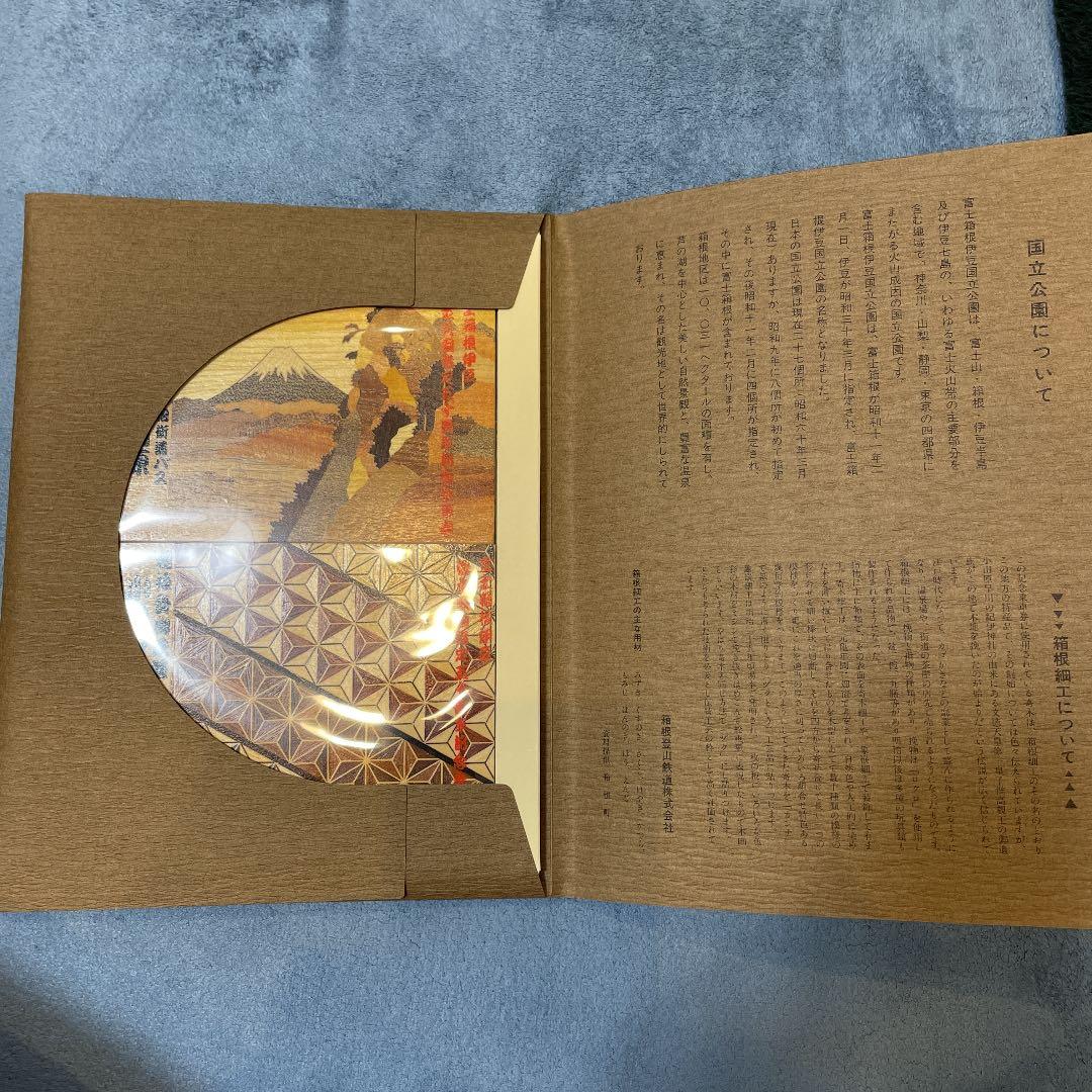 箱根登山鉄道　50周年記念乗車券+バス記念乗車　強羅駅