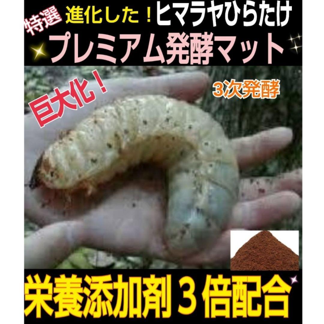 たっぷり！50リットル☆極上！プレミアム3次発酵カブトムシマット☆特殊アミノ酸入