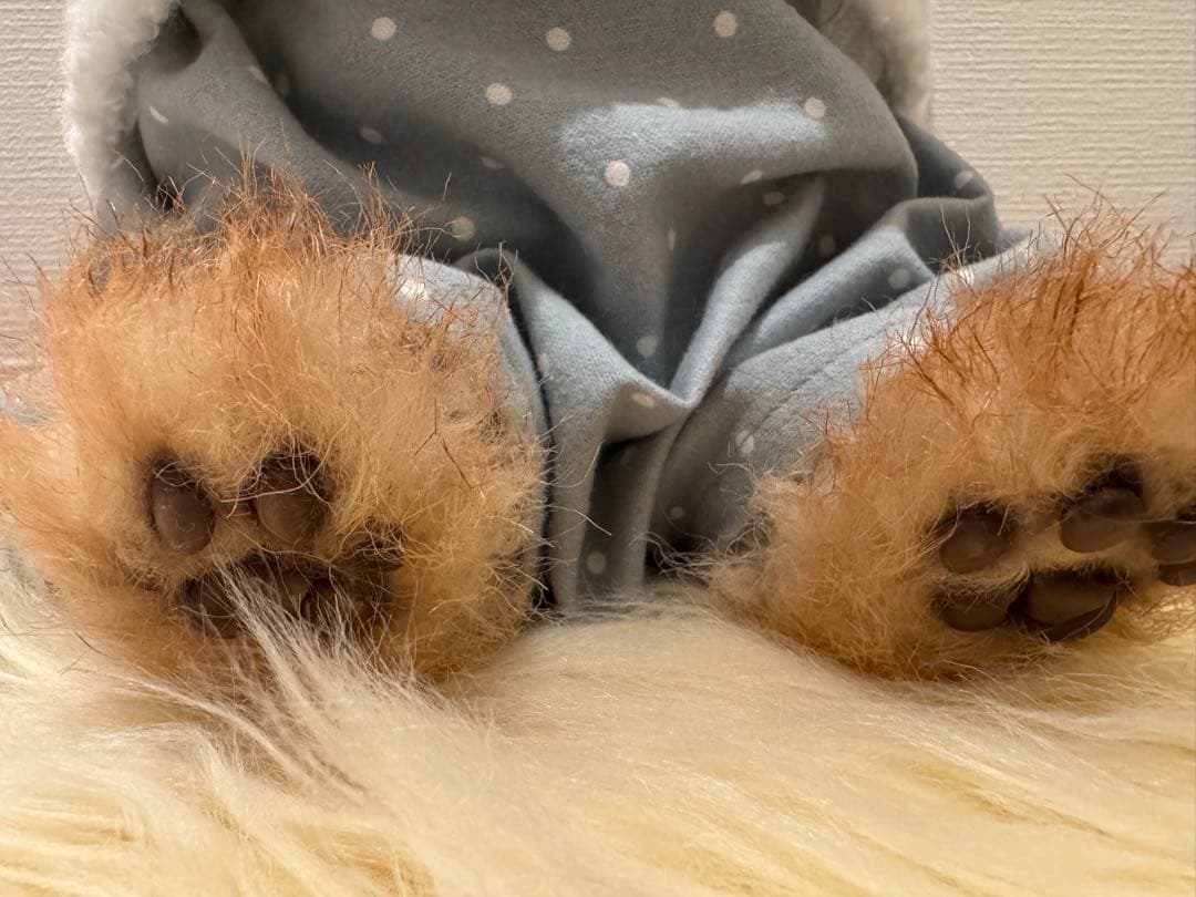 海外作家様作　アートドール　トイプードル