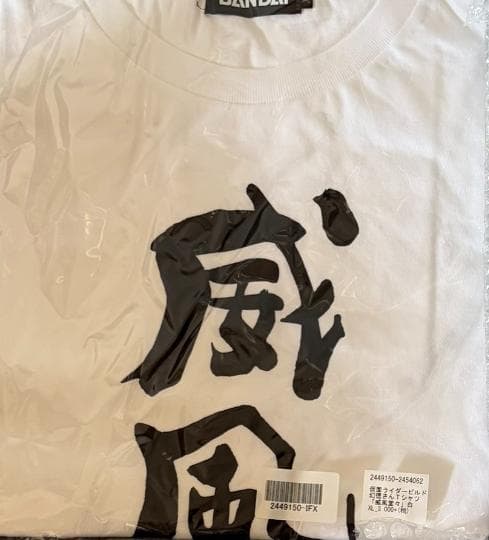 おもちゃ 額縁（取引条件調整中）