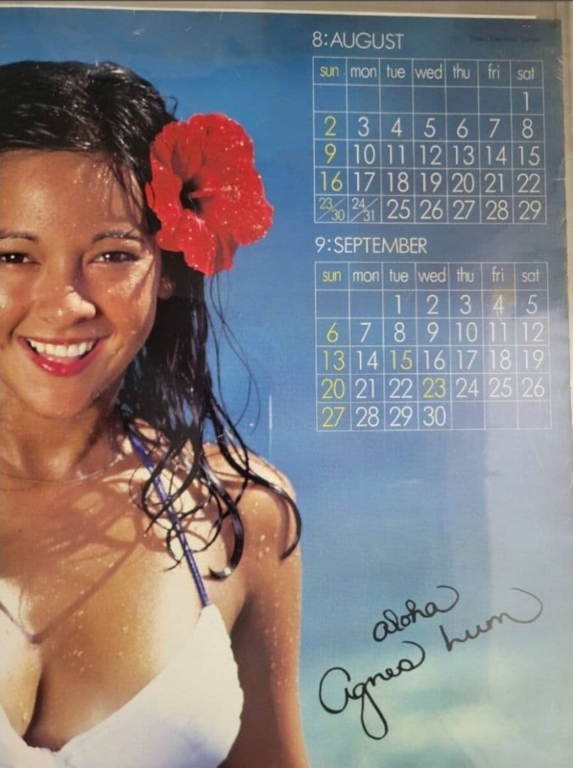 【週末セール】アグネスラム 大磯ロングビーチビキニポスター1981　B2サイズ