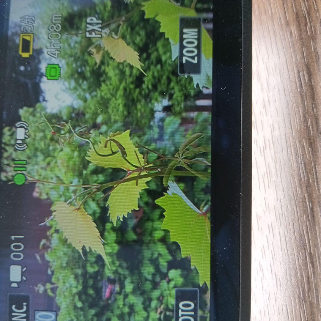 Canon iVIS HF G20 ビデオカメラ