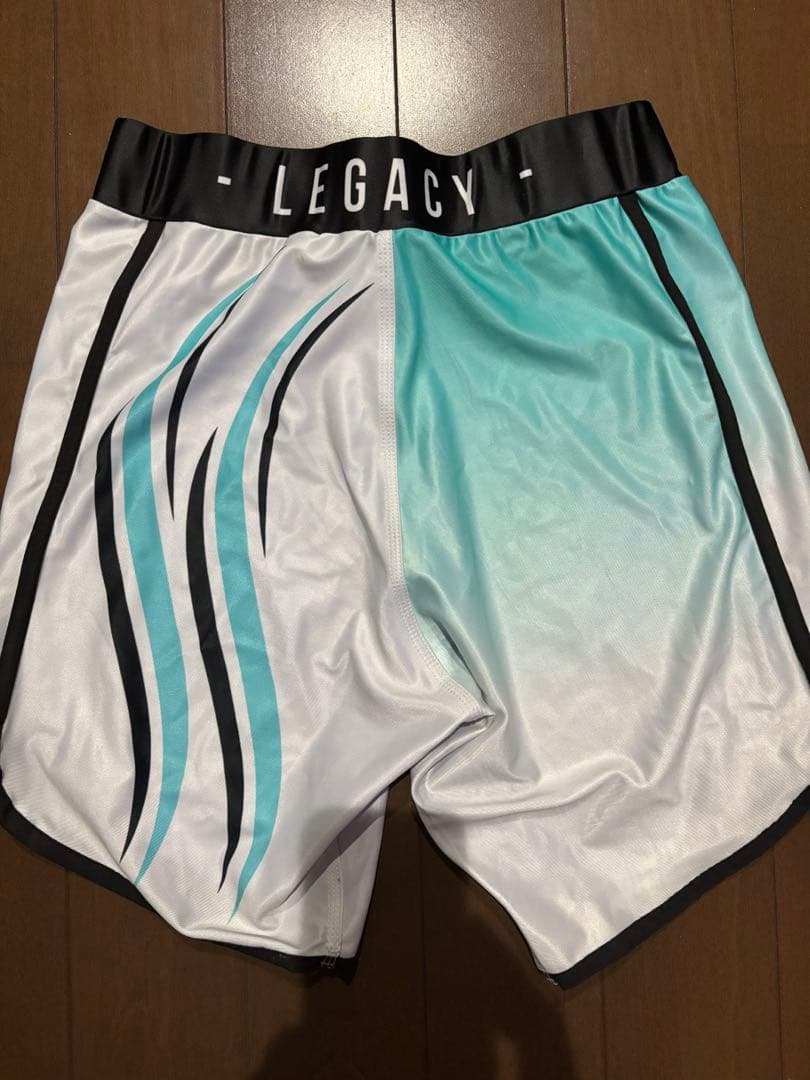 LEGACY サーフパンツサイズ28 darcsport chula wear