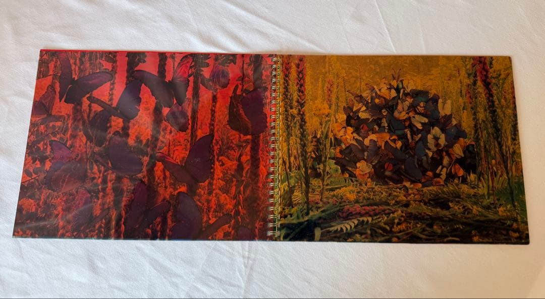 稀少DM COMME des GARCONS×Gregory Crewdson