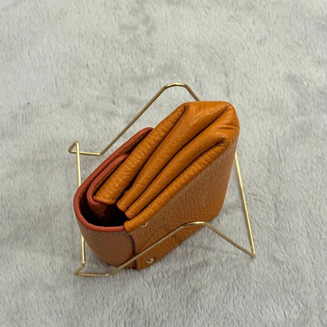 ⭐️新品未使用⭐️　IACUCCI イアクッチ　アバ ウォレット CERVO 折財布