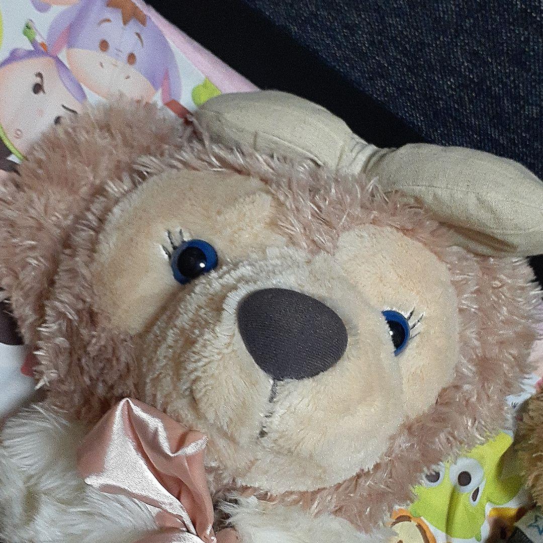 ダッフィー、シェリーメイMサイズ