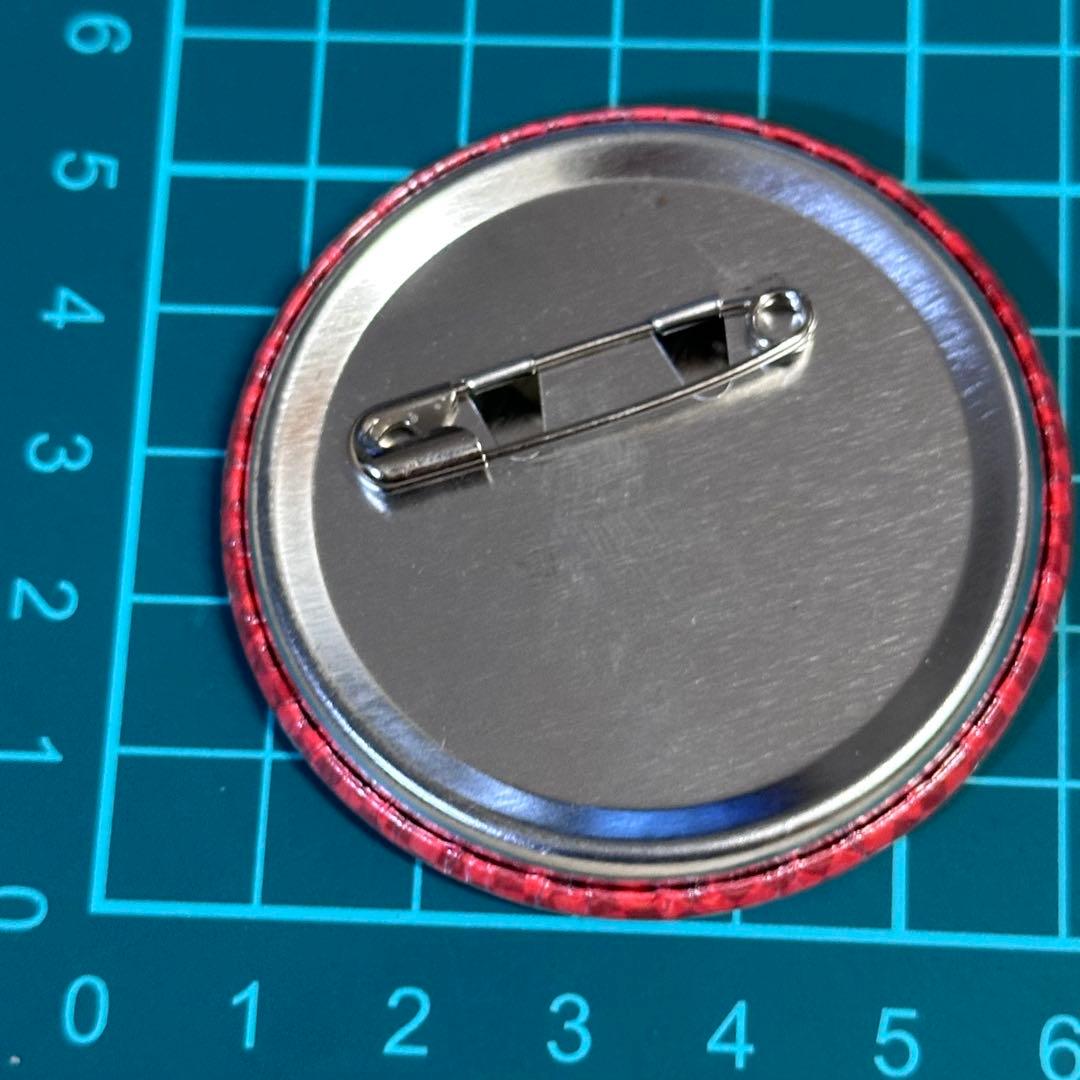 赤髪の白雪姫　缶バッジ　オビ　アニメ柄　場面写