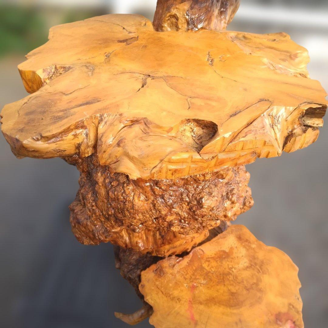 花台、工芸品、置物、自然木、アート、インテリア、展示会、盆栽、盆栽鉢