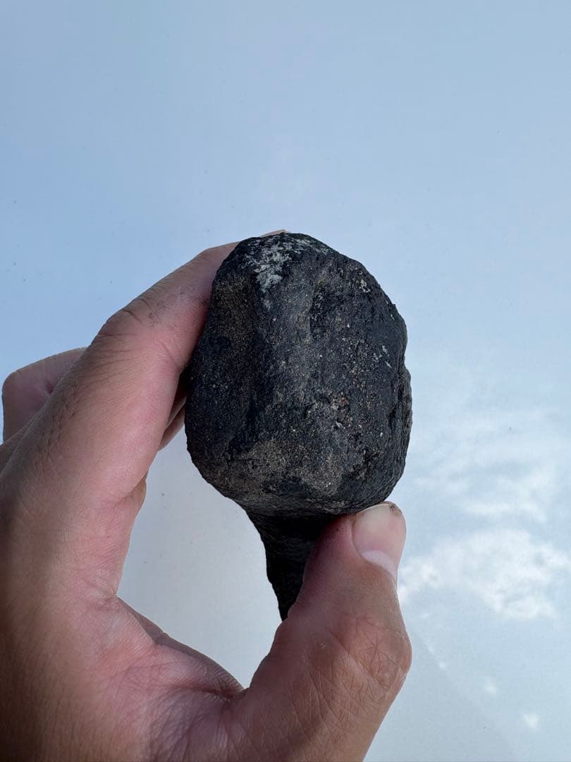 アロサウルス　化石　フットクロウ　恐竜