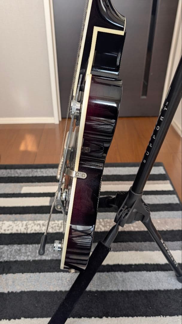 ★ポンデ大屋根リング★Gretsch G6119-1962HT テネシーロ