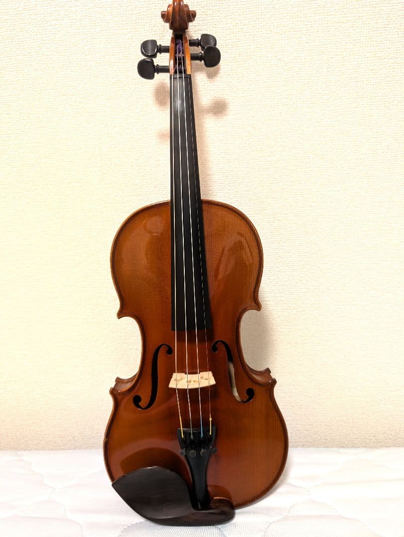 Roderich Paesold 803 4/4 バイオリン セット
