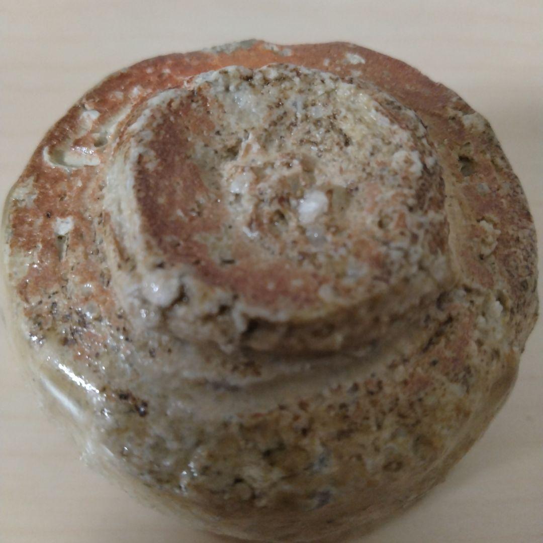 渡辺愛子　信楽ぐい呑　箱付き