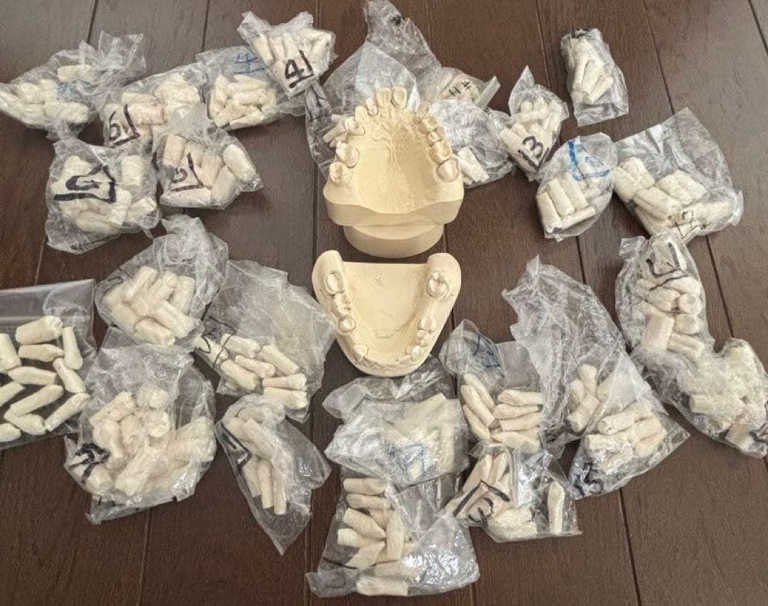 最終価格　歯科　支台歯形成　練習模型　セット