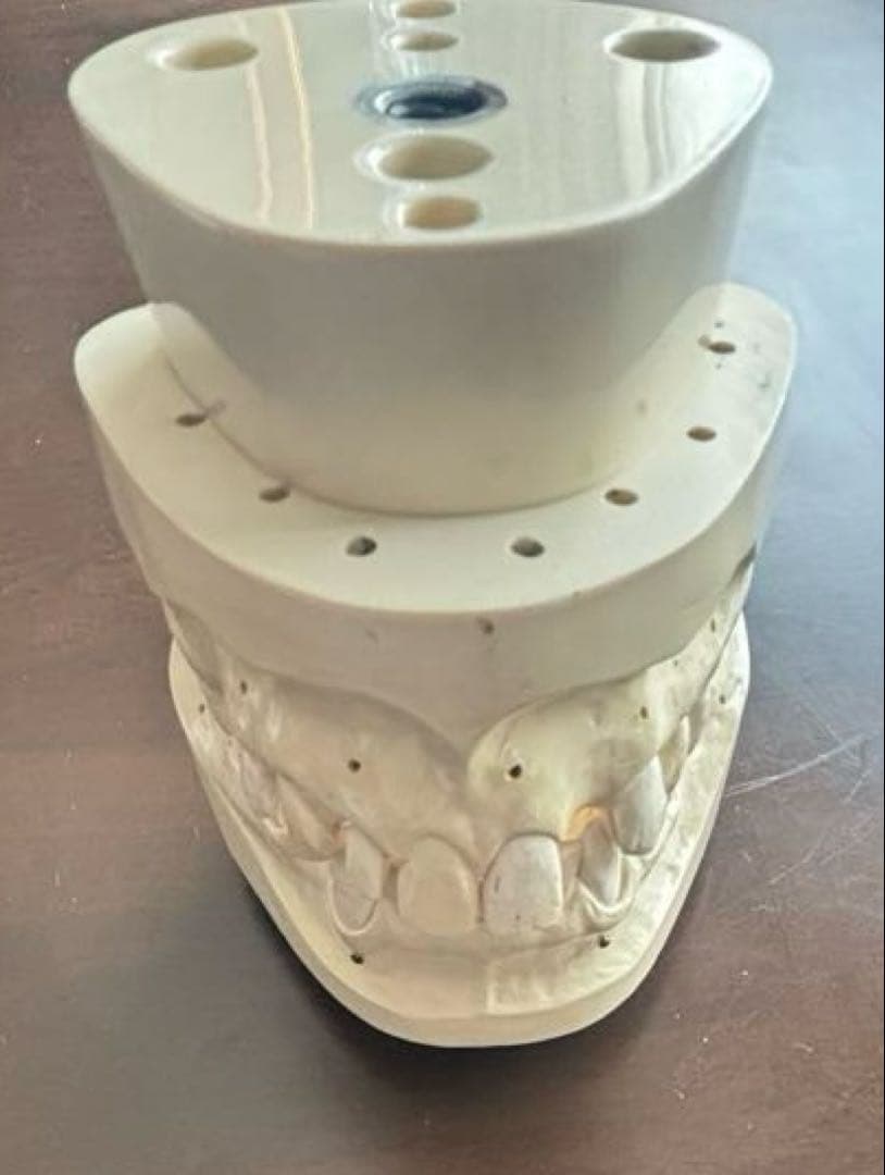 最終価格　歯科　支台歯形成　練習模型　セット