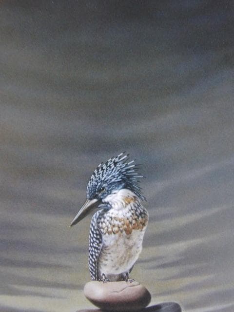 小澤一正、【日常】、希少な額装用画集より、新品額装付