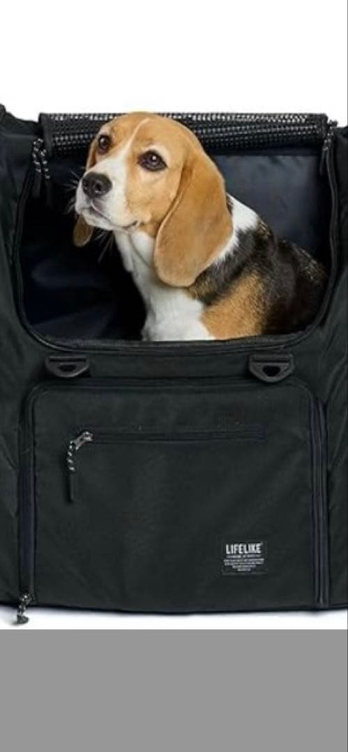 LIFELIKE フィールドギアバックパック