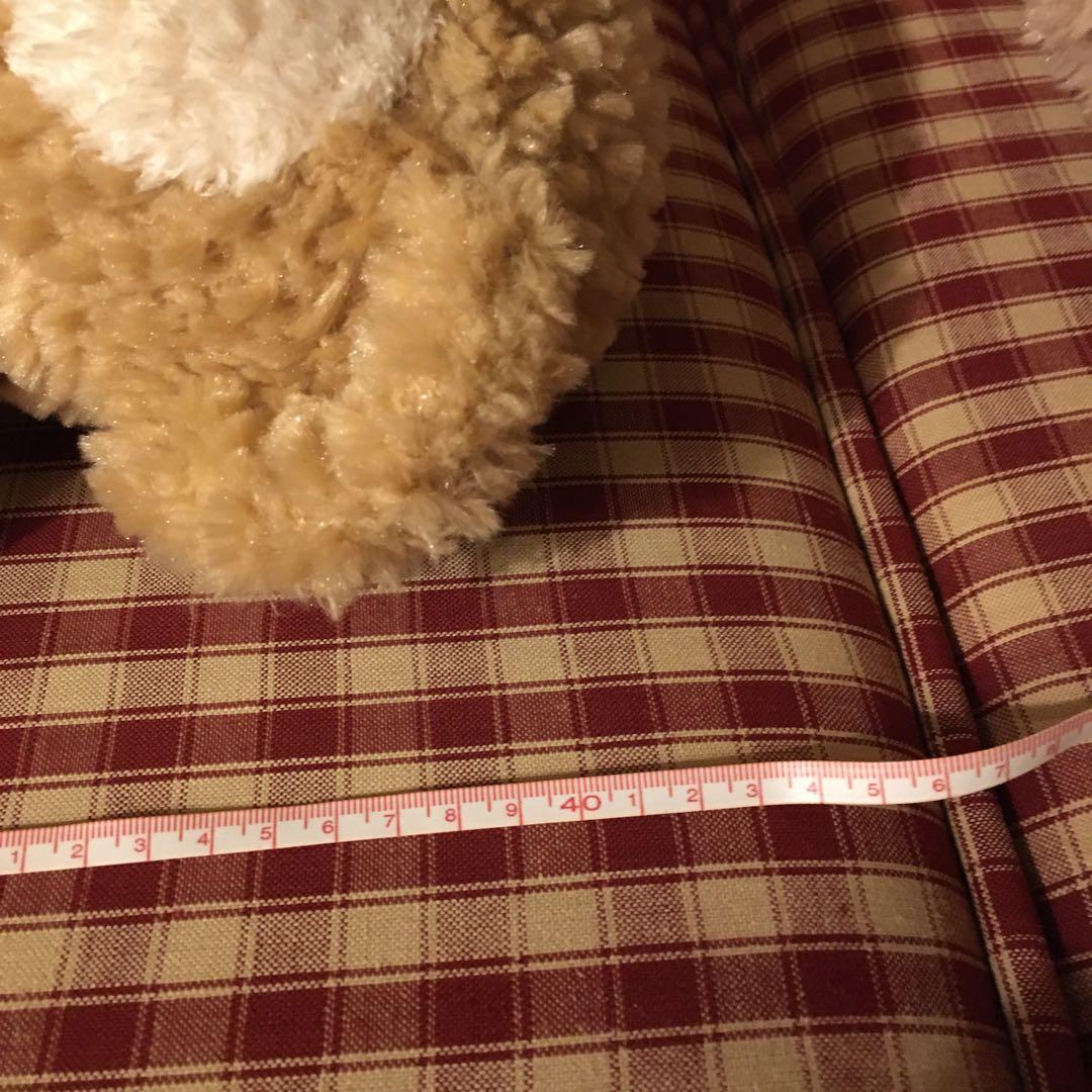 ダッフィー＆シェリーメイ　ぬいぐるみ