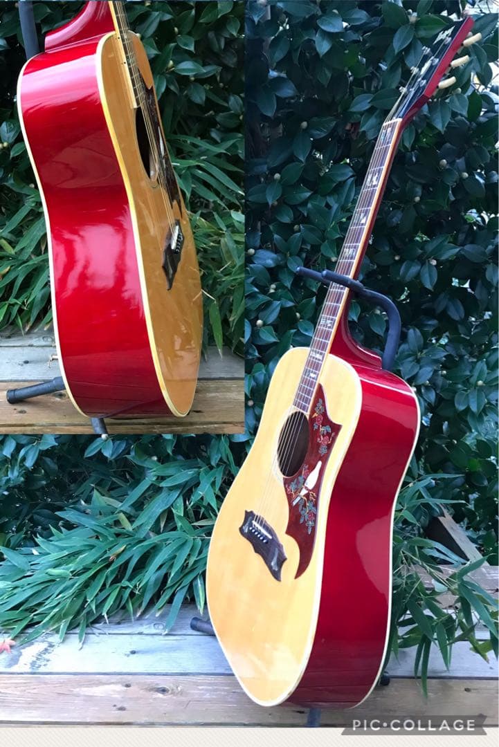 Burny BD-85 DOVE バーニー