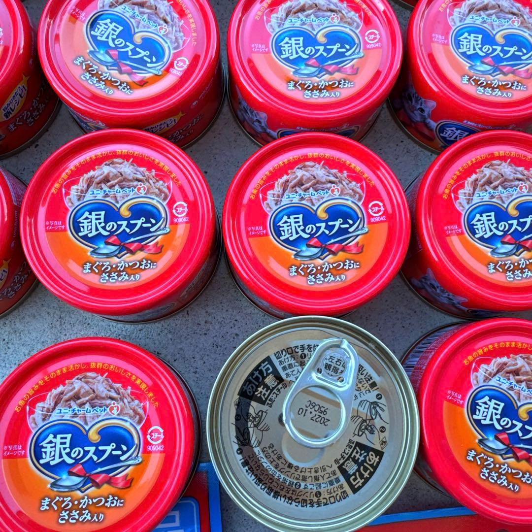 ゴン太　　猫C 最終値下げしました！