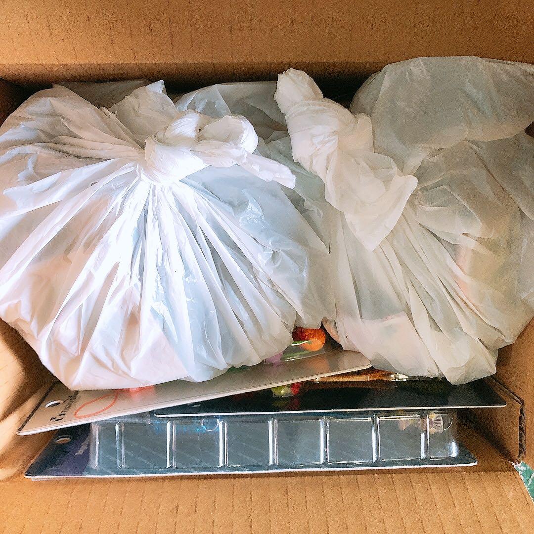 大量まとめ ディズニーリゾート 限定品 グッズ お土産 ピンバッジ ストラップ