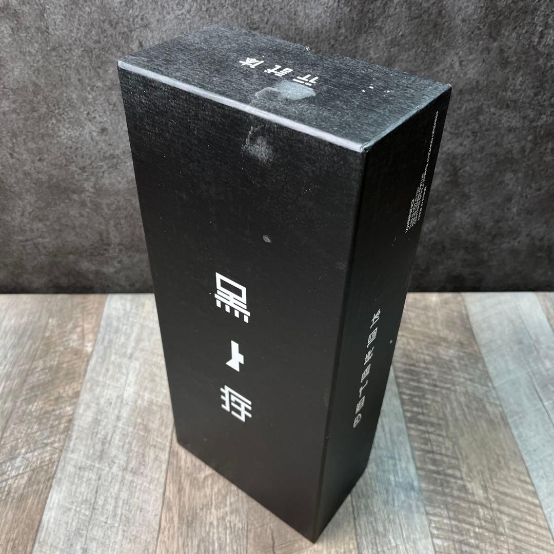 【検品のみ】東亜重工 合成人間 行試体 黒疾