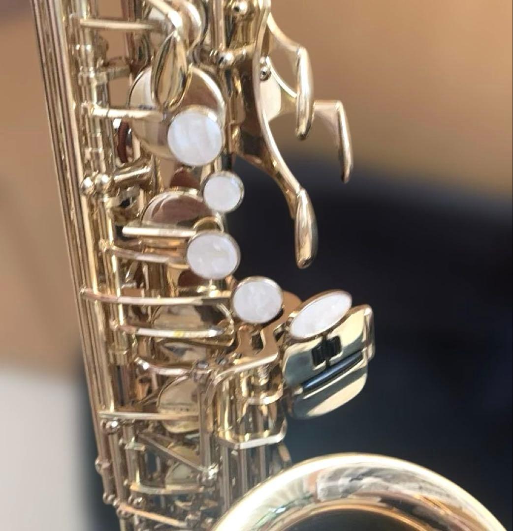 美品★アルトサックス　J.Michael AL-500 お手入れセットケース付き