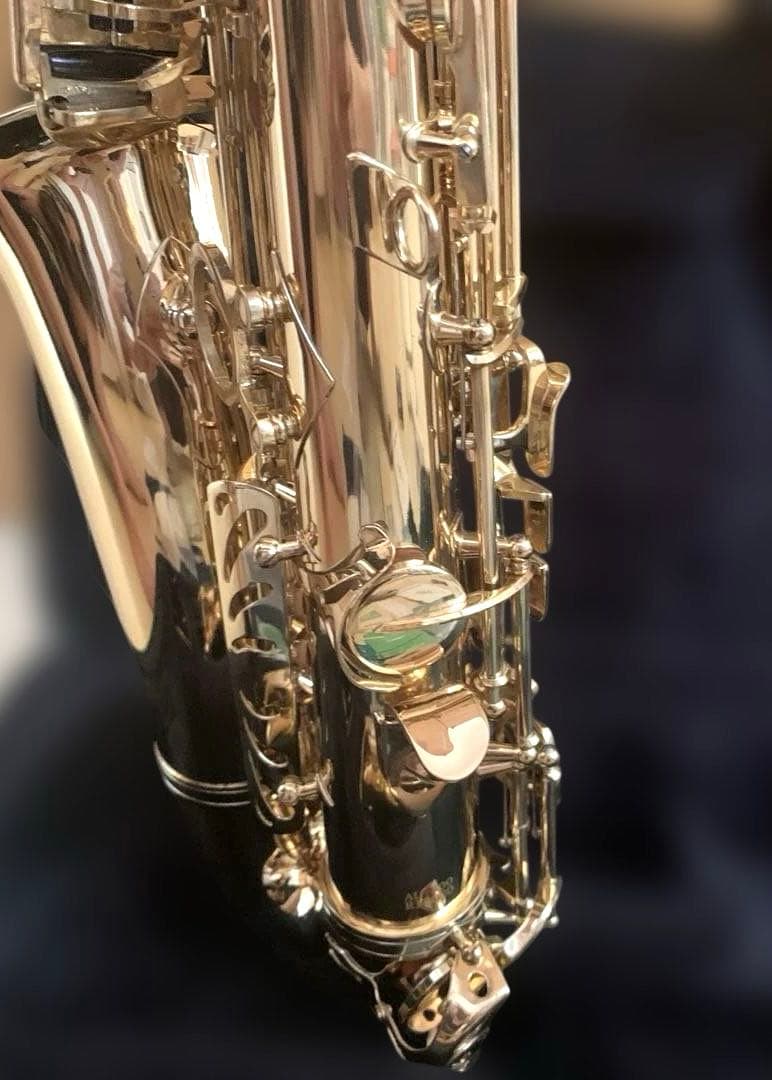 美品★アルトサックス　J.Michael AL-500 お手入れセットケース付き