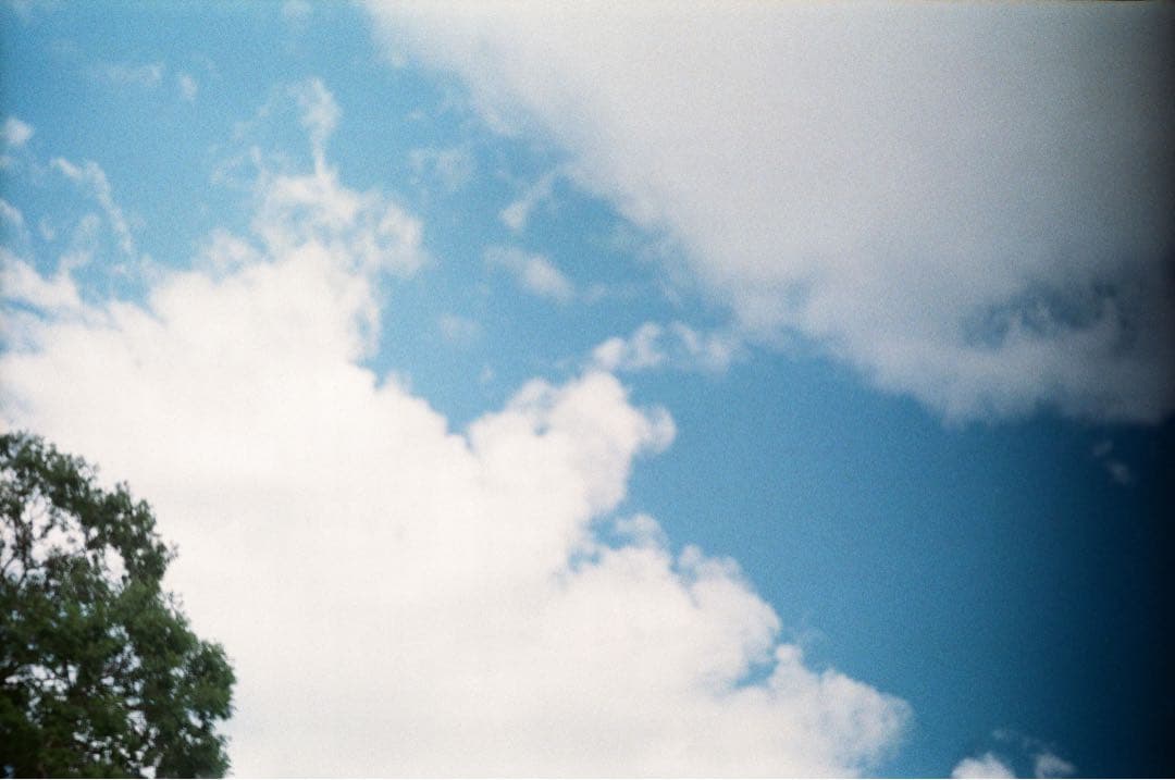 【動作品】アサヒフレックス + Takumar 58mm F2.4