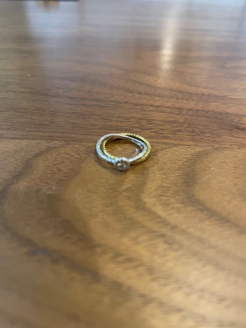 さおり　2点Studio waterfall バーニーズ購入