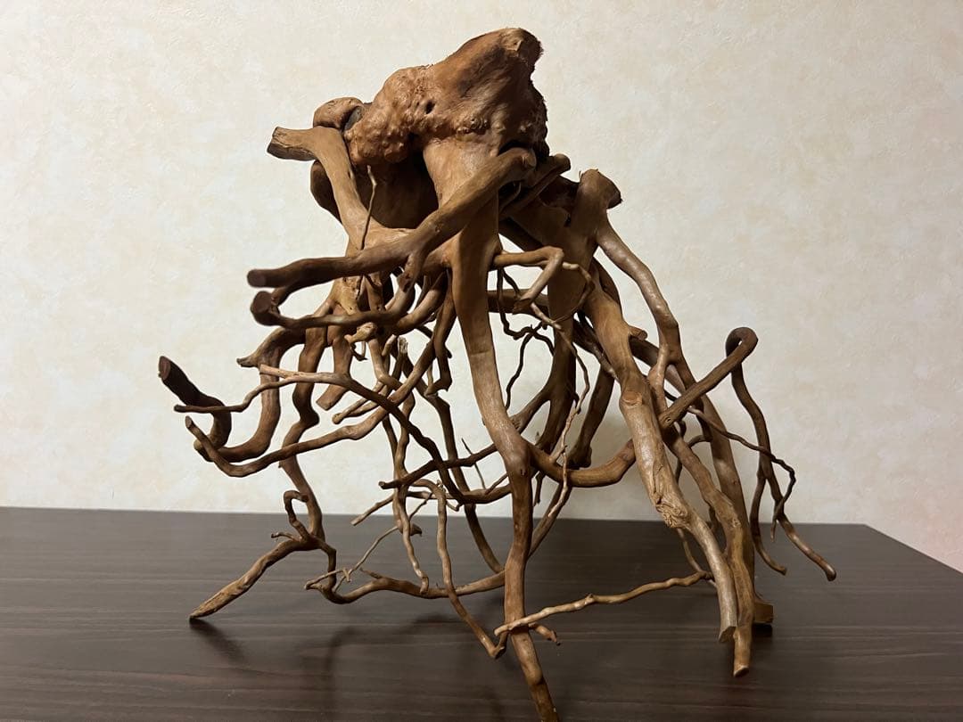 30211 ブランチウッド　流木　アクアリウム　沈水確認済