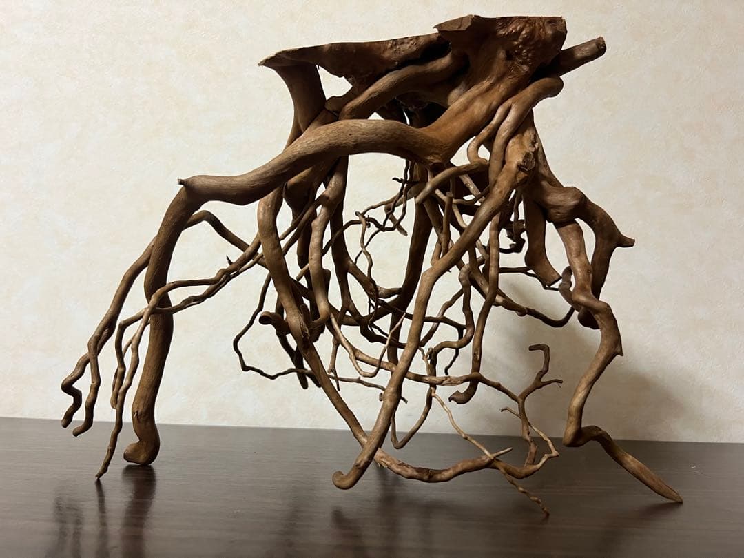 30211 ブランチウッド　流木　アクアリウム　沈水確認済