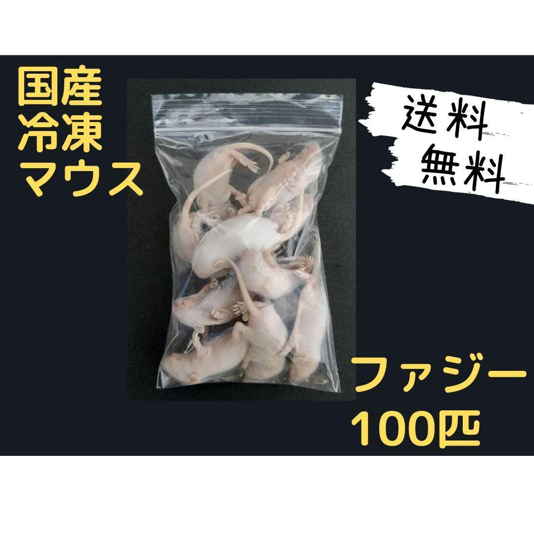 国産 冷凍マウス ファジー 100匹 (一部地域発送不可)