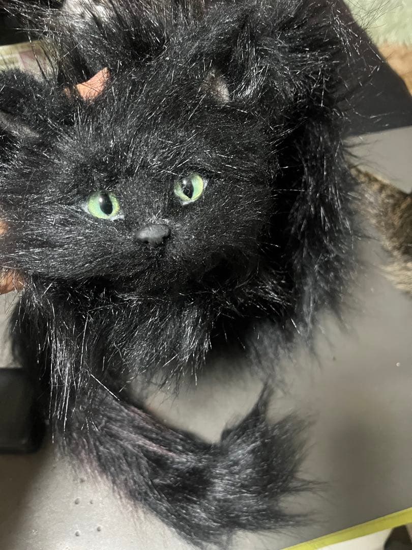 ユ*ロ様 黒猫マフラー フェイクファー