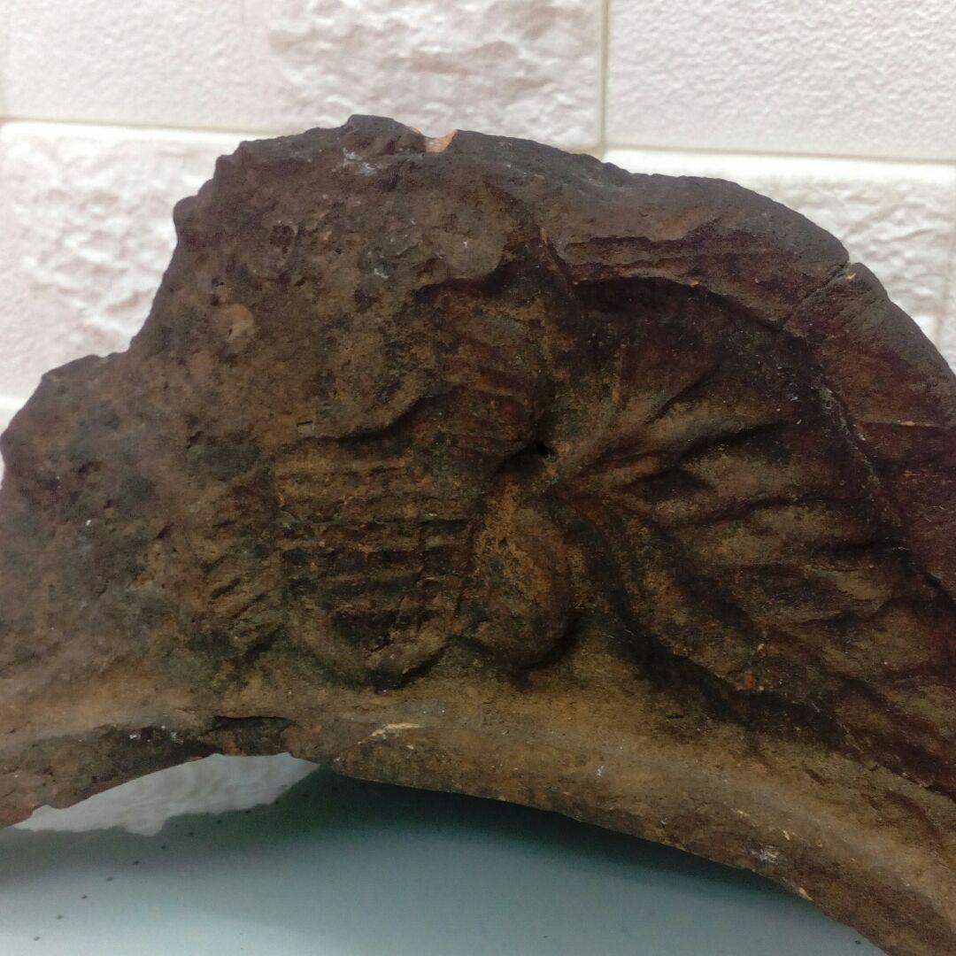 極稀少琉球古瓦城郭寺社灰茶褐色２００〜３３０年前頃レア当時物希少資料コレクション