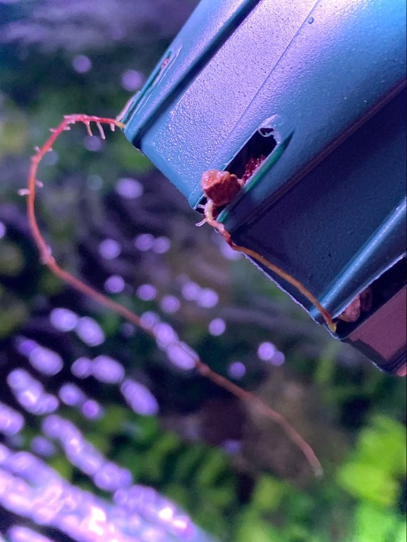 【専用】 user_fd449ab1様