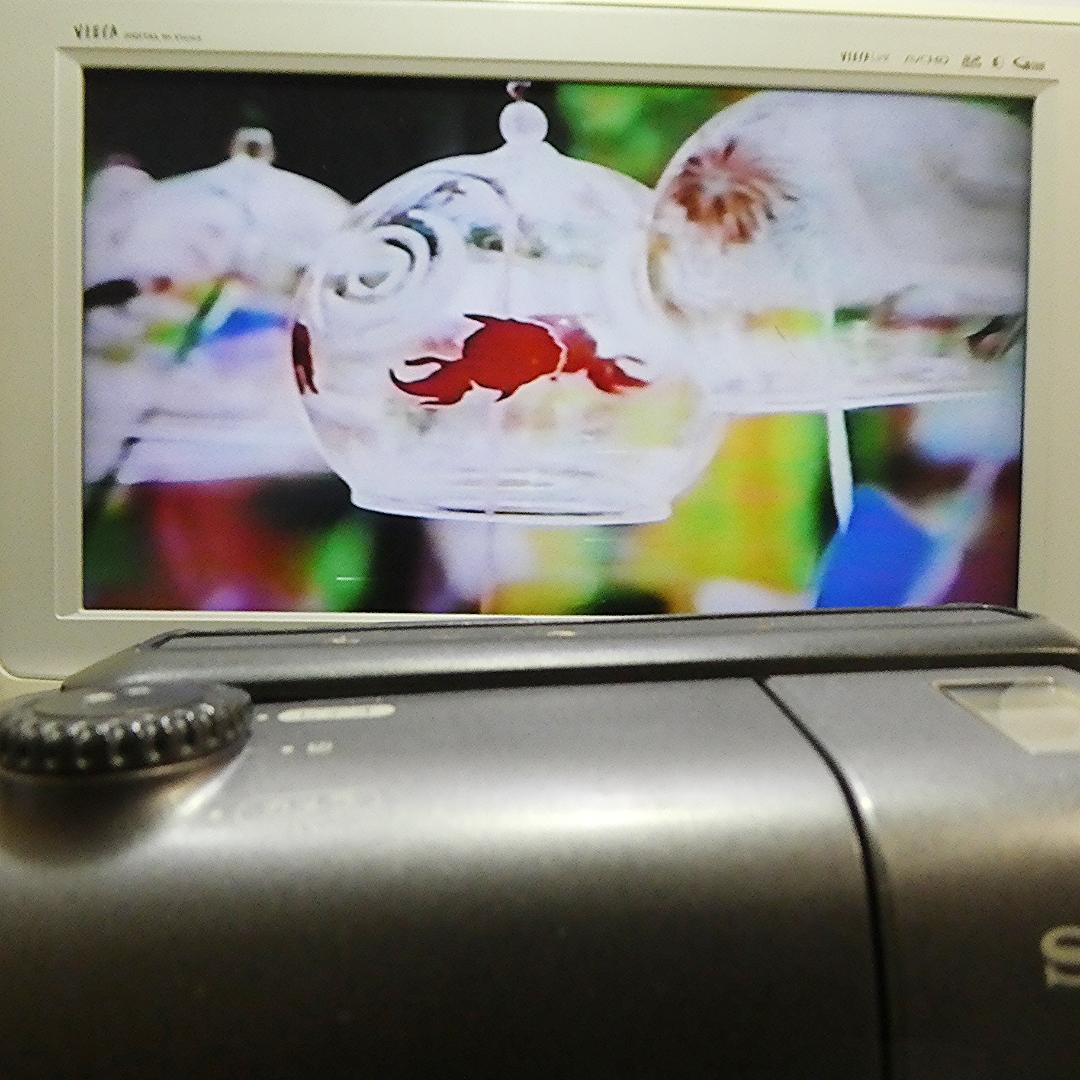 動作良好 ソニーVideoHi8 CCD-TR11 8ミリビデオ　DVD化に最適