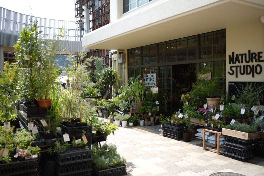 レンズ(単焦点) Distagon T* FE 35mm F1.4 ZA SEL35F14Z