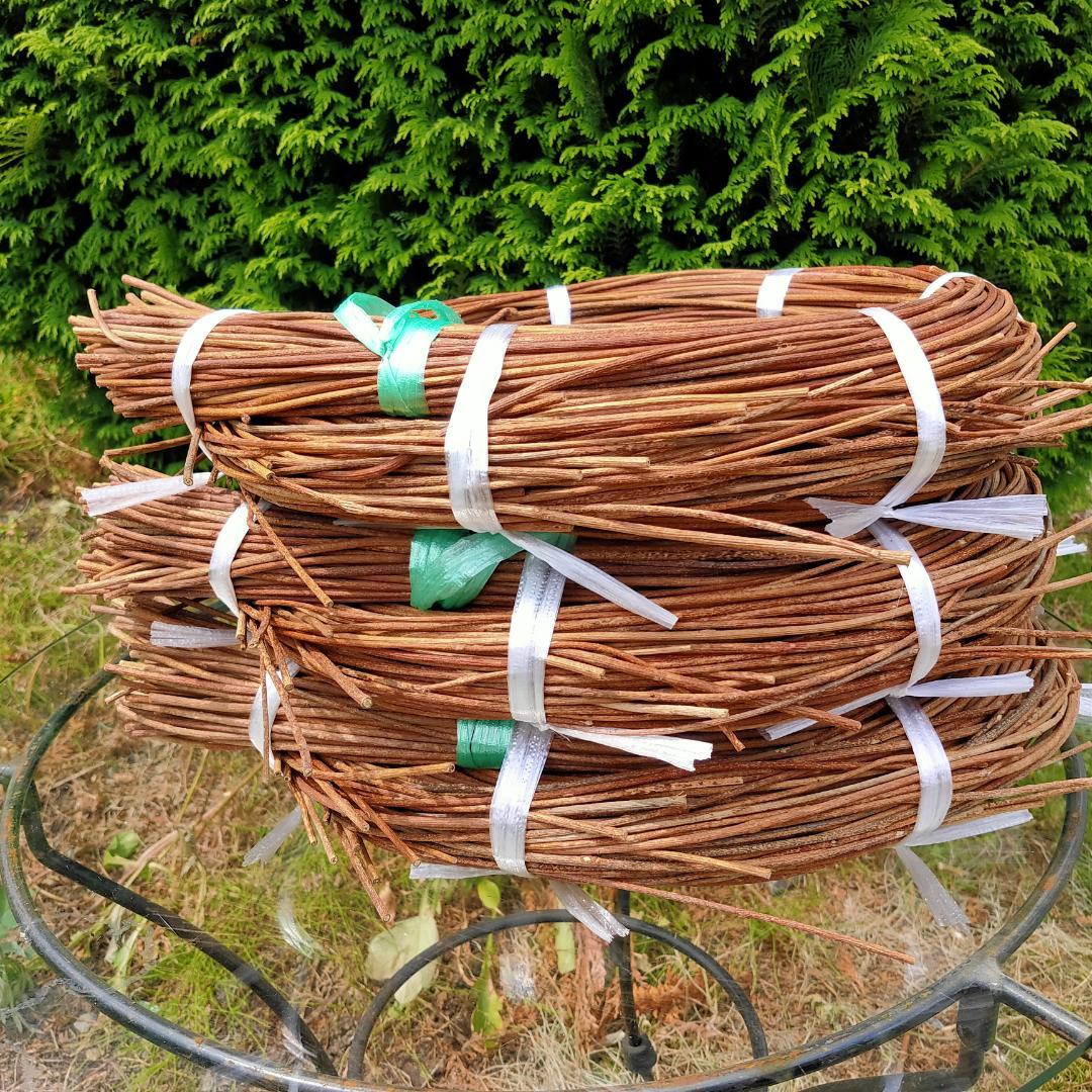 みっくん　青森県岩木山採取　あけび蔓　150cm～　3kg