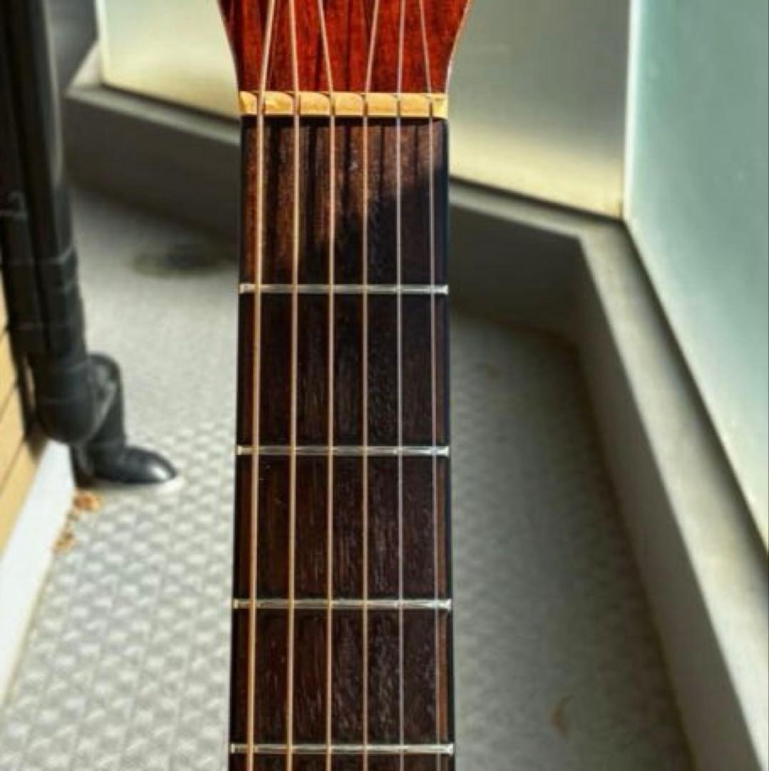 メダカちゃんページ【弦新品】Morris アコギ 初心者向け