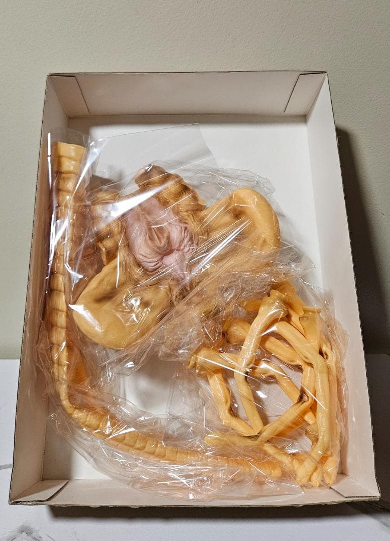 1/1スケール フェイス ハガー エイリアン(アオシマ SKYNET)