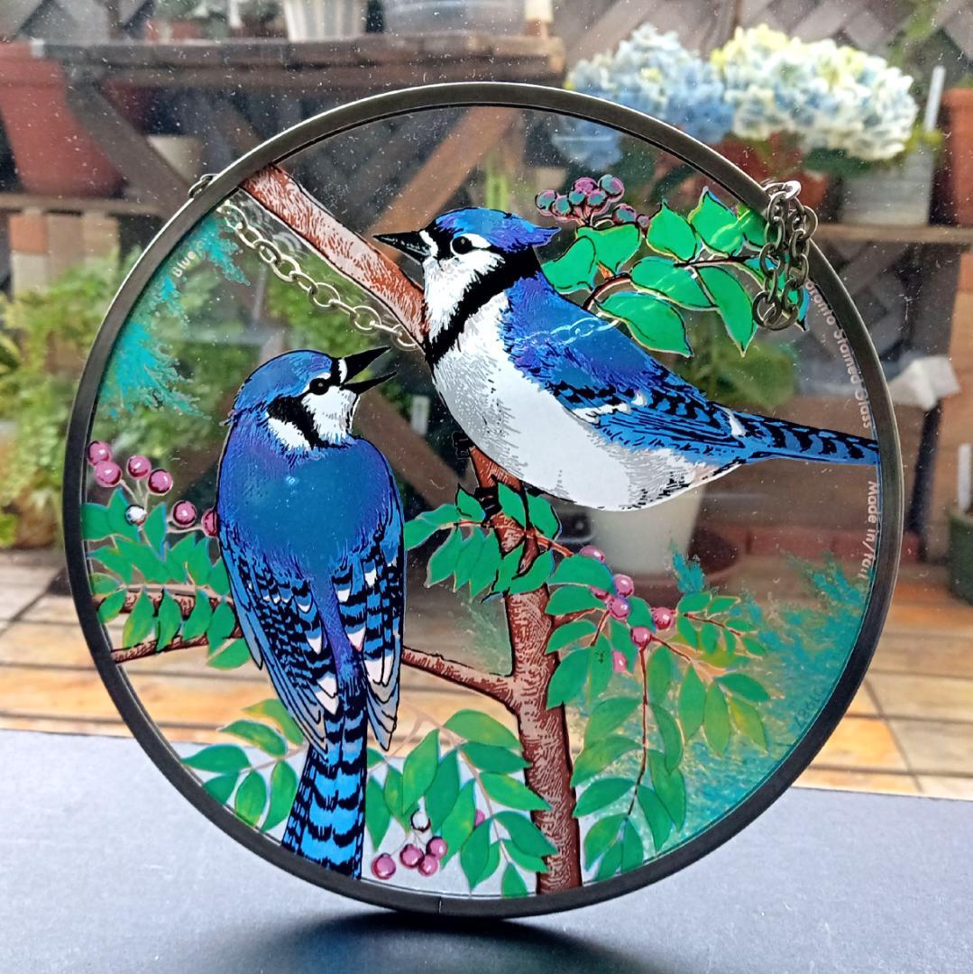 トロント・ステンドグラス Blue Jay ブルージェイ アオカケス