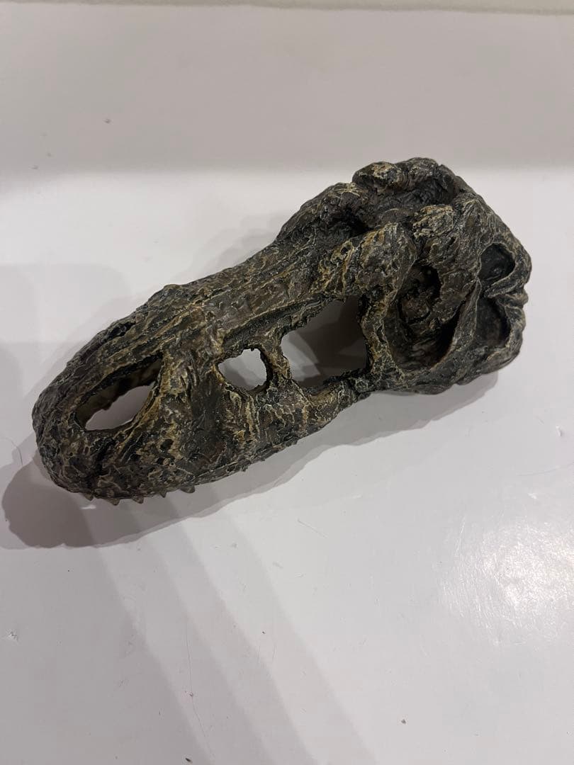 グラステラリウム3030 セット 爬虫類