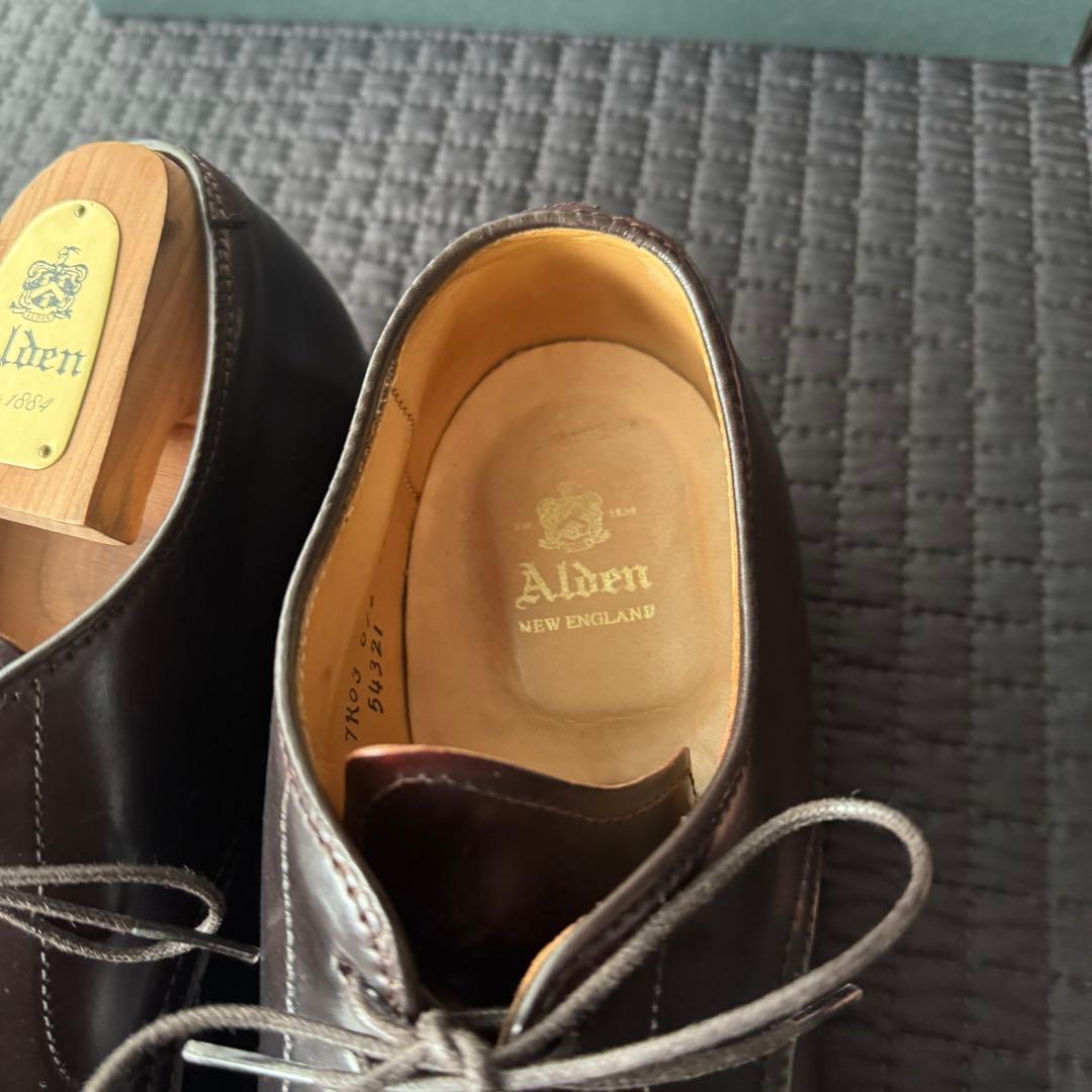 Alden　オールデン　Vチップ　コードバン　9D　バーガンディ