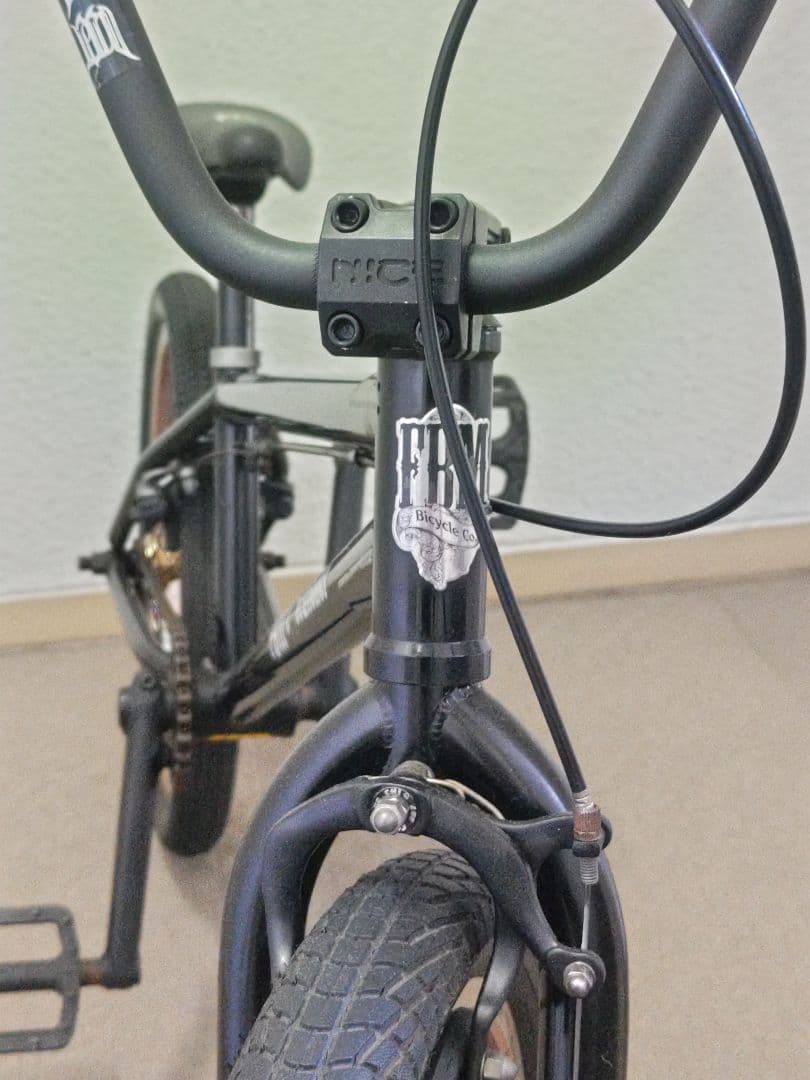 自転車本体 FBM executioner BMX