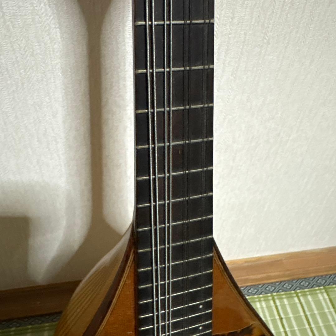 Raffaele 寺田楽器製 ハイエンド マンドリン RM-3 弦　ギター