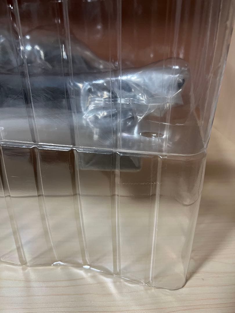 【内ブリスター開封】東宝30cmシリーズ ゴジラ（2023） 少年リック限定版