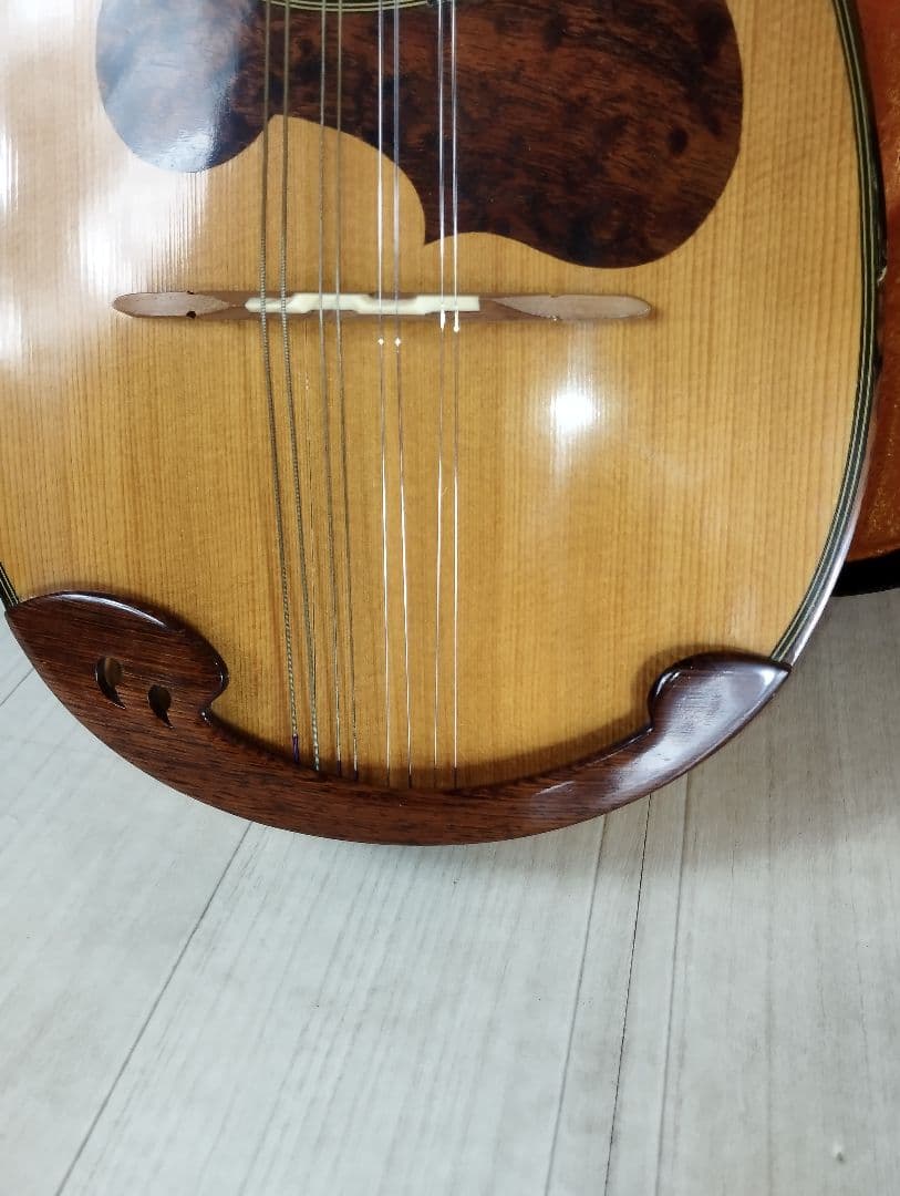 【美品】SUZUKI M-30マンドリン 8弦 ハードケース付き