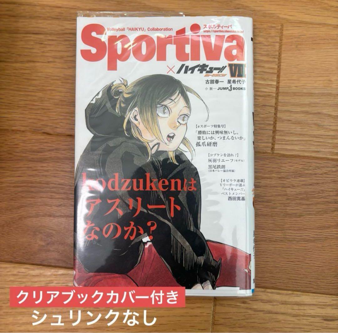 ［美品］ハイキュー小説版13巻+ビジュアルボード+ポスターセット