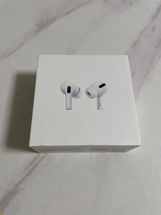 Apple AirPods Pro MWP22J/A 右耳紛失